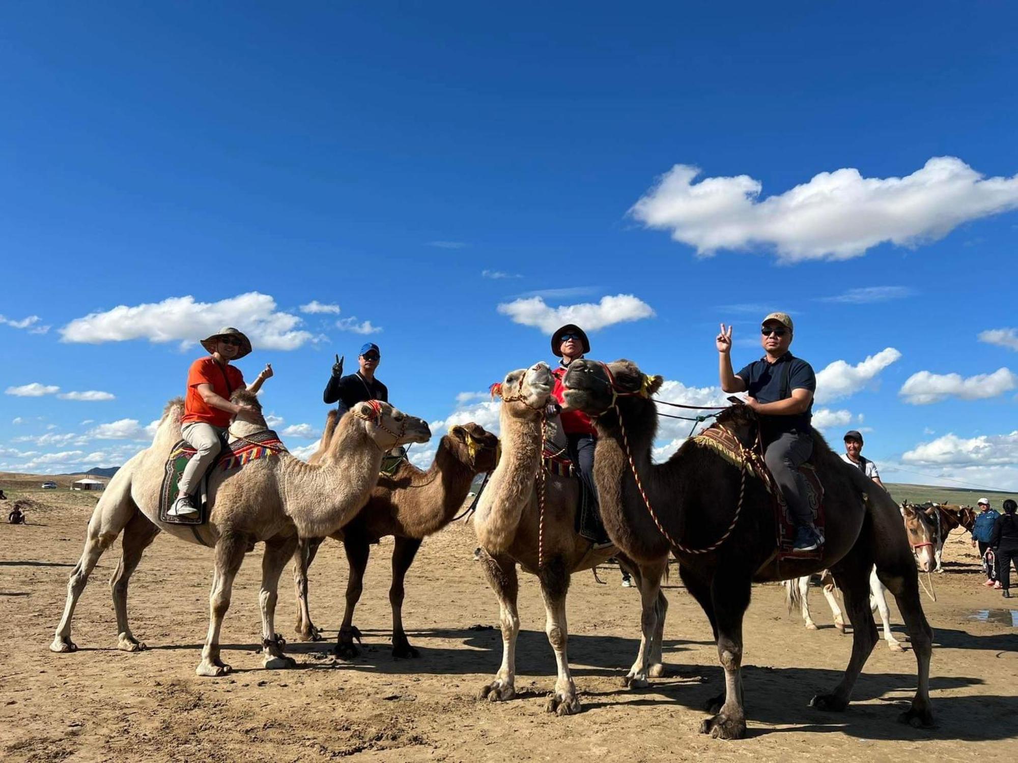 Camel Track Guesthouse And Tour Operator Llc Ulán Bator Exterior foto